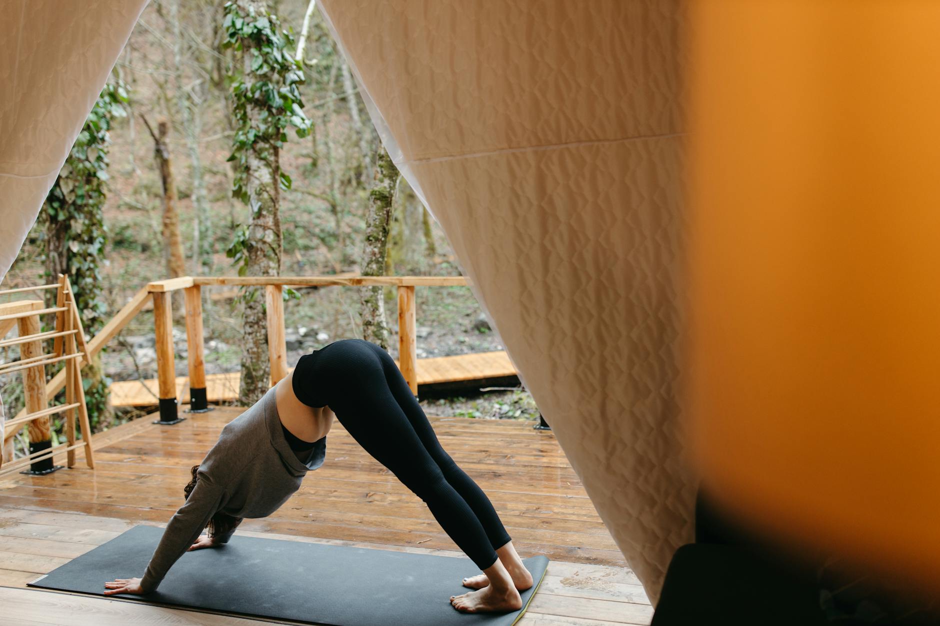 Wellness